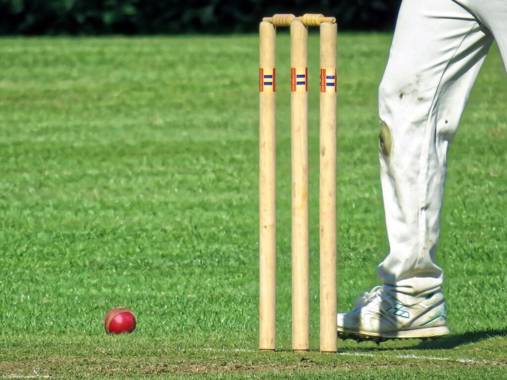 Cricket ball and stumps on the pitch